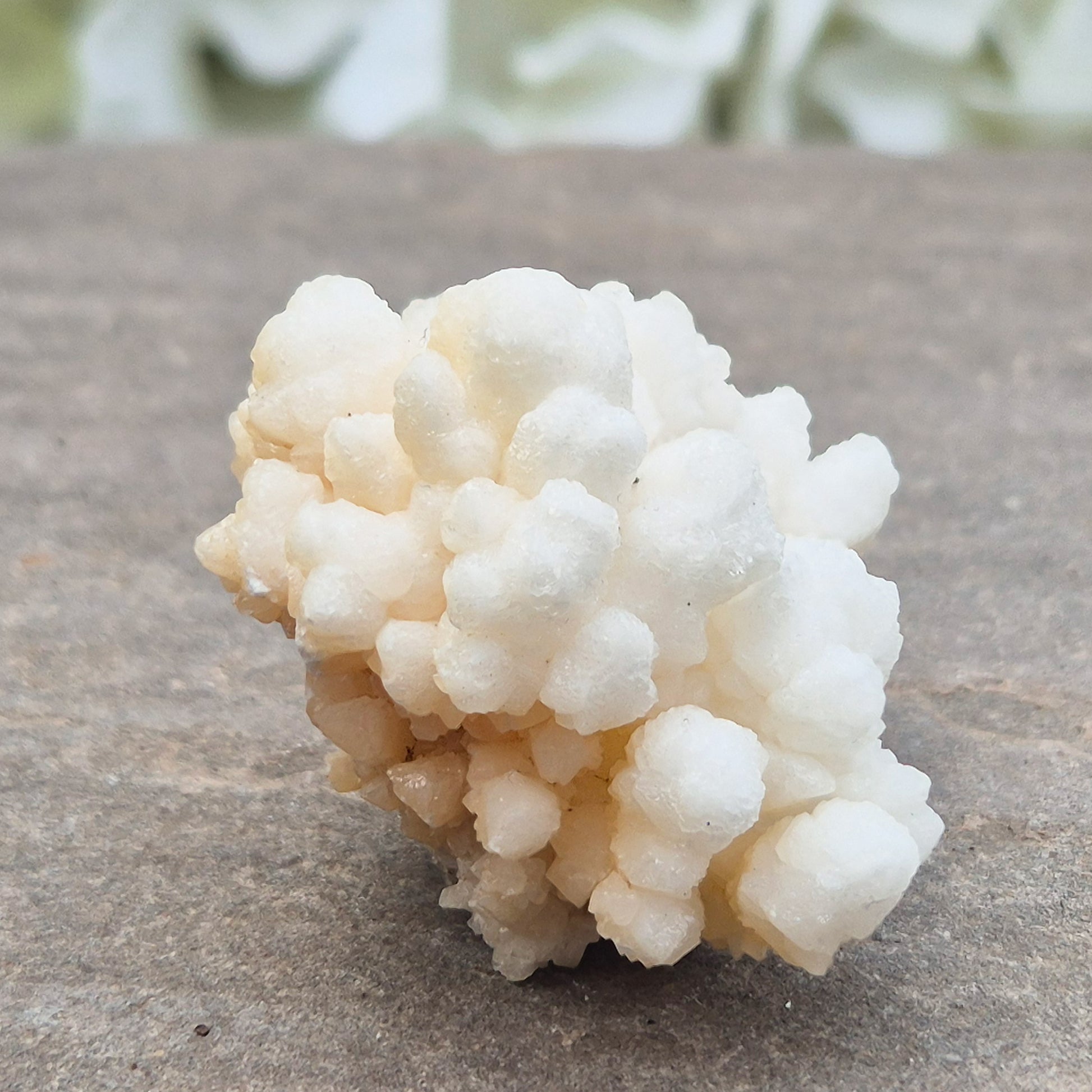 This unusual Cave Calcite formation — often called Cave Popcorn or Coralloid Aragonite — is actually a natural form of Aragonite, not true calcite. It forms in ancient cave environments where mineral-rich water slowly builds soft, rounded clusters over thousands of years. This piece has a shiny surface.