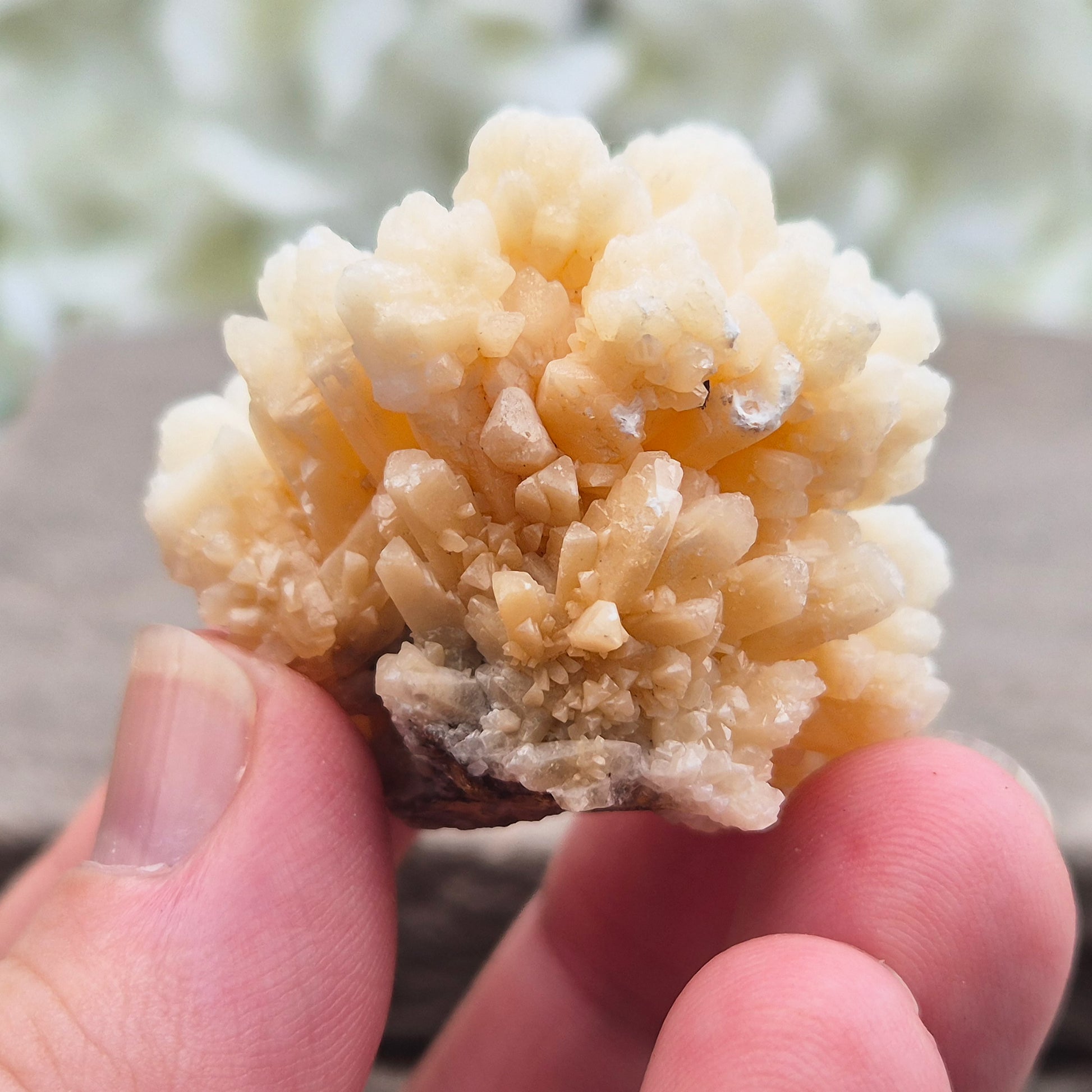 This unusual Cave Calcite formation — often called Cave Popcorn or Coralloid Aragonite — is actually a natural form of Aragonite, not true calcite. It forms in ancient cave environments where mineral-rich water slowly builds soft, rounded clusters over thousands of years. This piece has a shiny surface.