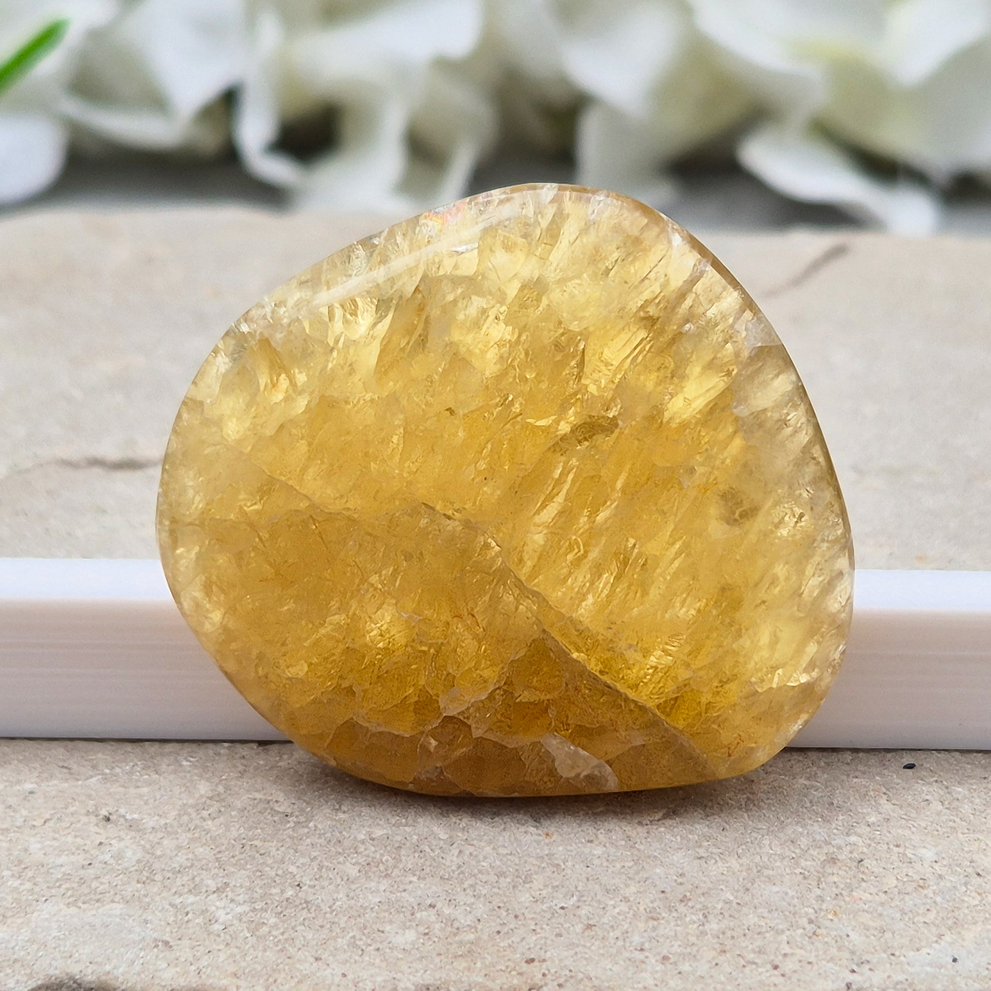 Honey Calcite Crystal Palm Stone, sometimes refered to as Golden Calcite or Amber Calcite. A smooth, pocket-sized palm stone in warm honey-gold tones, ranging from pale lemon-yellow to deep amber.