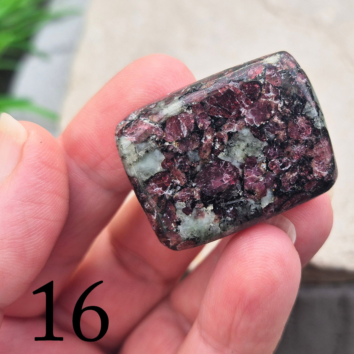 Polished Eudialyte flat stone from Greenland with rich red and pink tones. Associated with emotional steadiness, heart support, and grounded change.