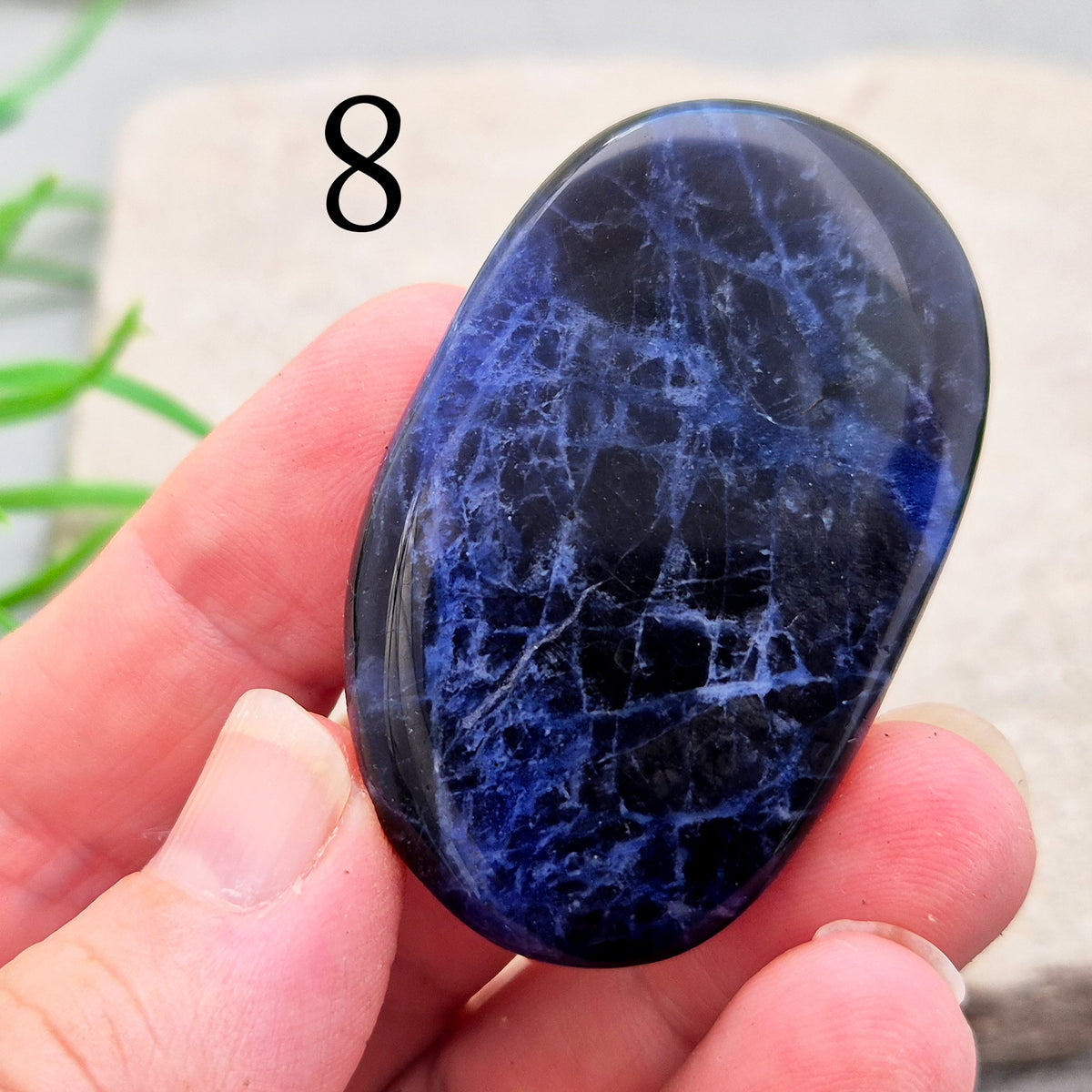Beautiful A-grade Sodalite palm stone from Namibia. Supports clear thinking, confidence in communication, and emotional calm. Throat & Third Eye chakra crystal.
