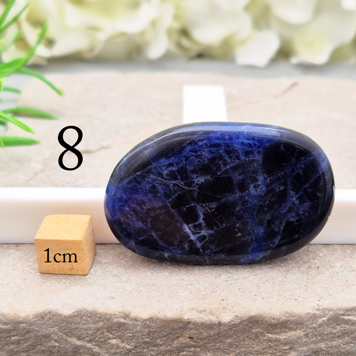 Beautiful A-grade Sodalite palm stone from Namibia. Supports clear thinking, confidence in communication, and emotional calm. Throat & Third Eye chakra crystal.