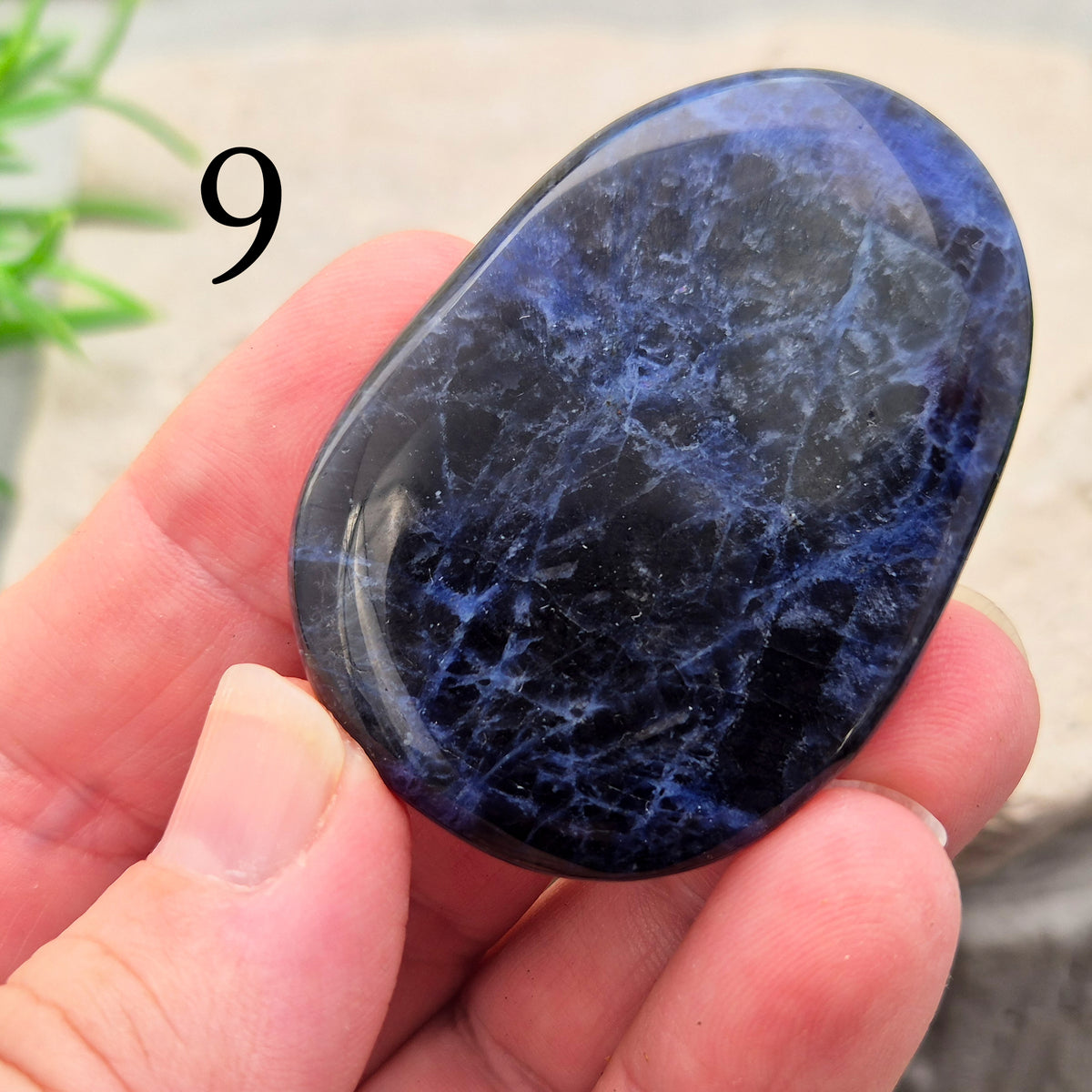Beautiful A-grade Sodalite palm stone from Namibia. Supports clear thinking, confidence in communication, and emotional calm. Throat & Third Eye chakra crystal.