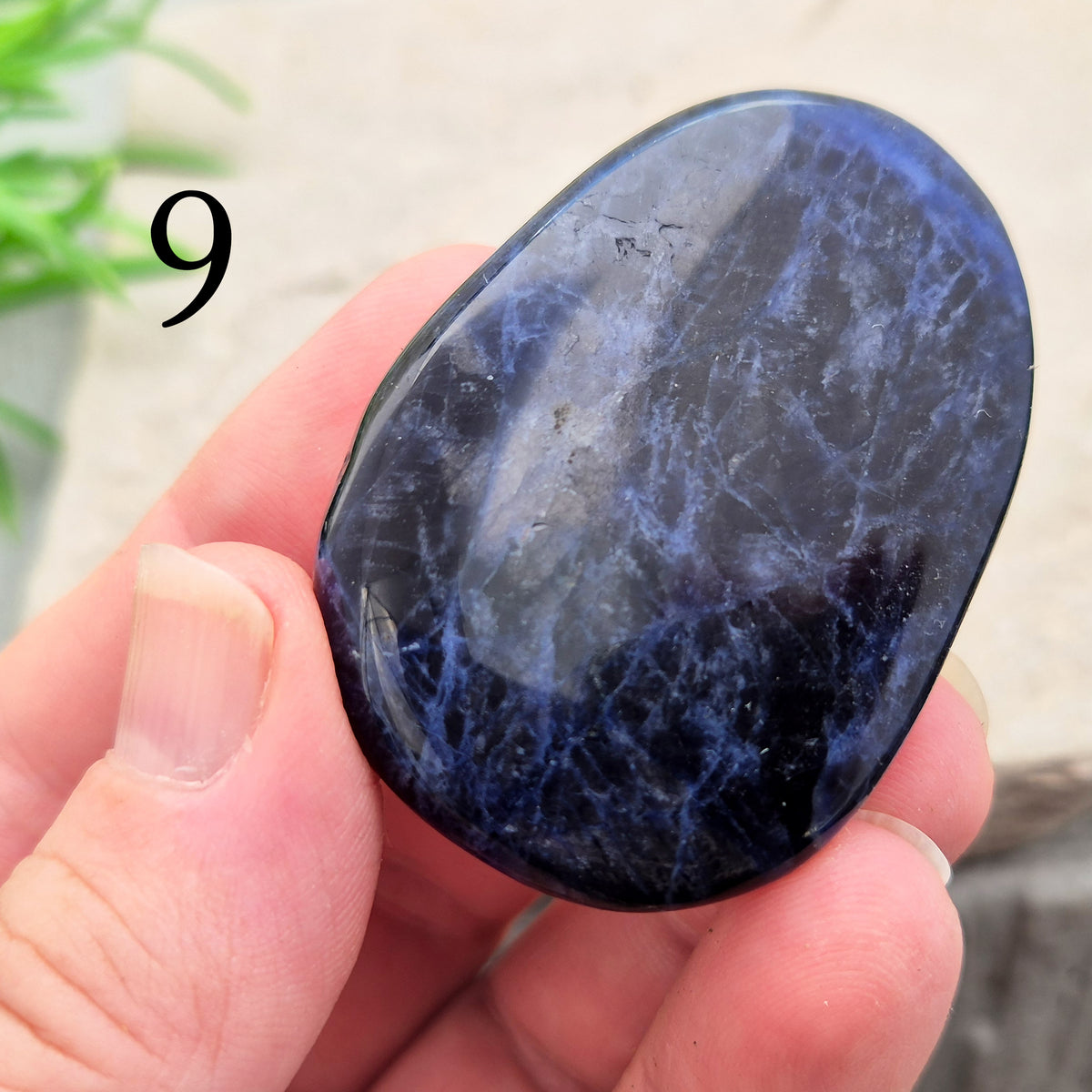 Beautiful A-grade Sodalite palm stone from Namibia. Supports clear thinking, confidence in communication, and emotional calm. Throat & Third Eye chakra crystal.