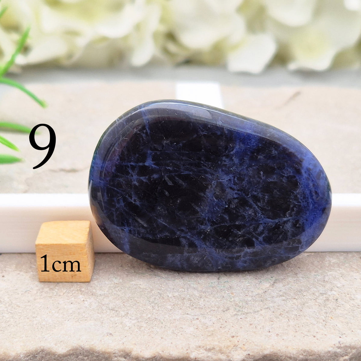 Beautiful A-grade Sodalite palm stone from Namibia. Supports clear thinking, confidence in communication, and emotional calm. Throat & Third Eye chakra crystal.