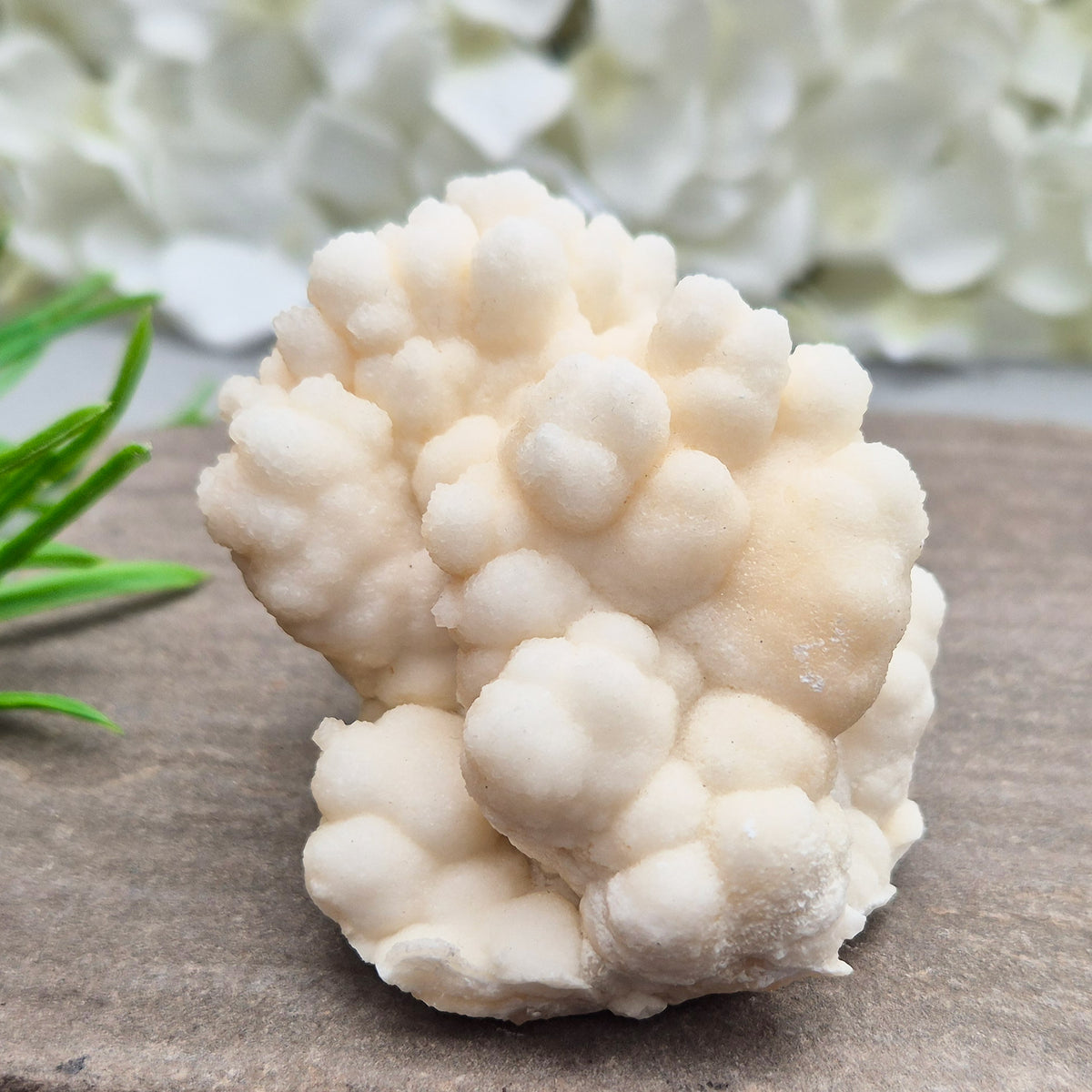 Cave Calcite (Aragonite) – A unique crystal valued for its stabilizing energy, focus, and natural beauty. A must-have for any crystal collection.