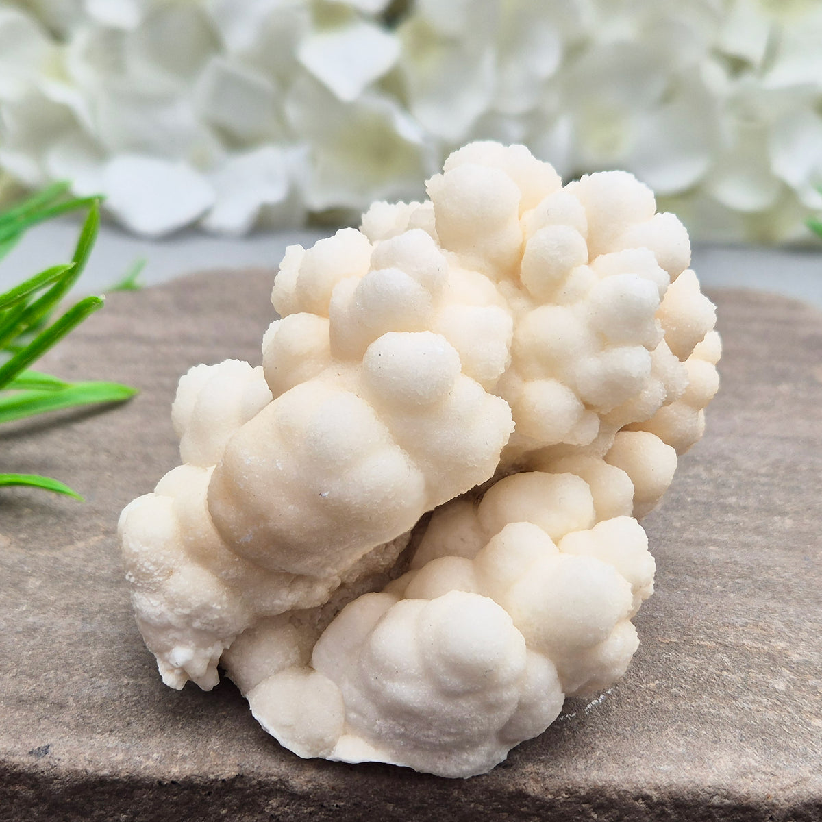 Cave Calcite (Aragonite) – A unique crystal valued for its stabilizing energy, focus, and natural beauty. A must-have for any crystal collection.