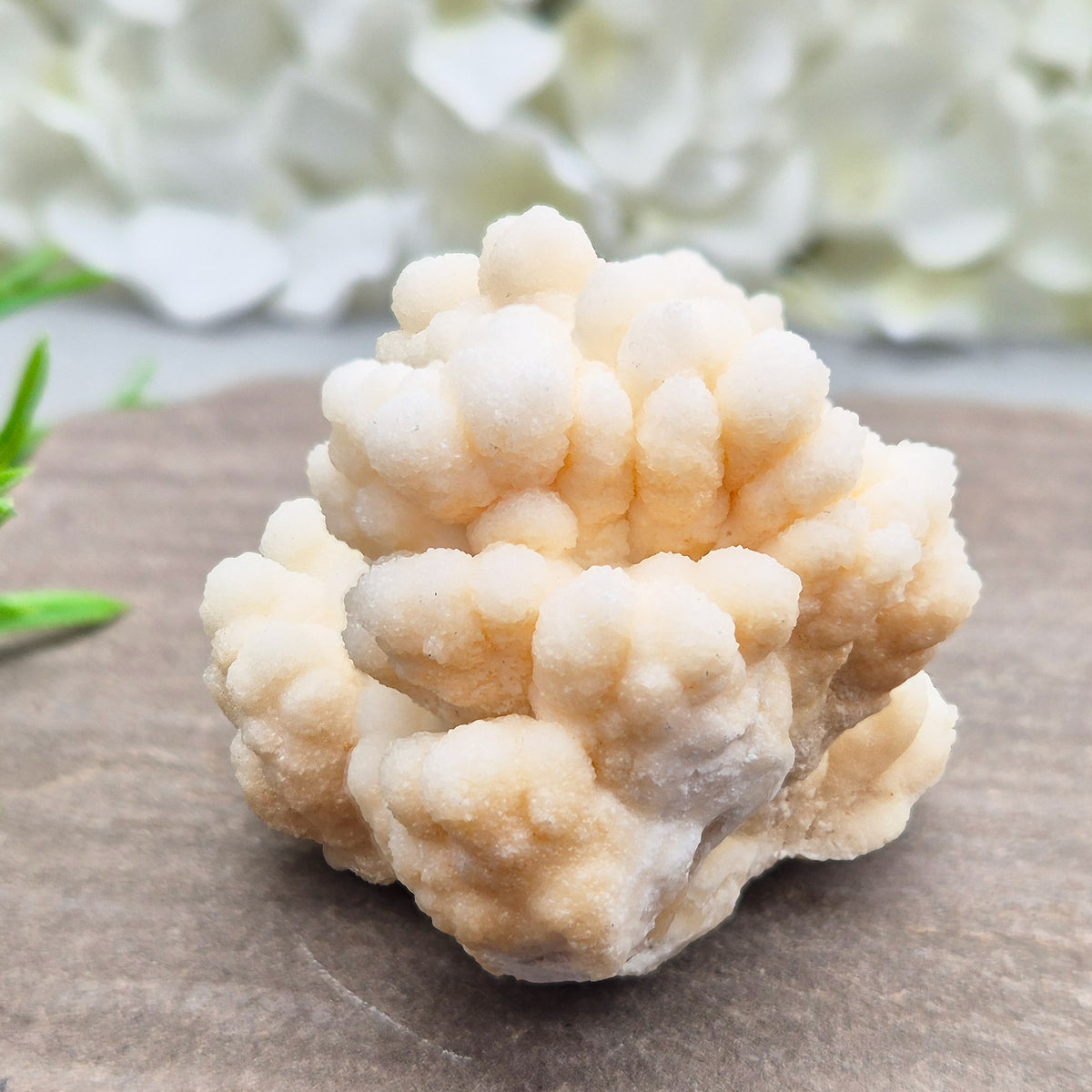 Cave Calcite (Aragonite) – A unique crystal valued for its stabilizing energy, focus, and natural beauty. A must-have for any crystal collection.