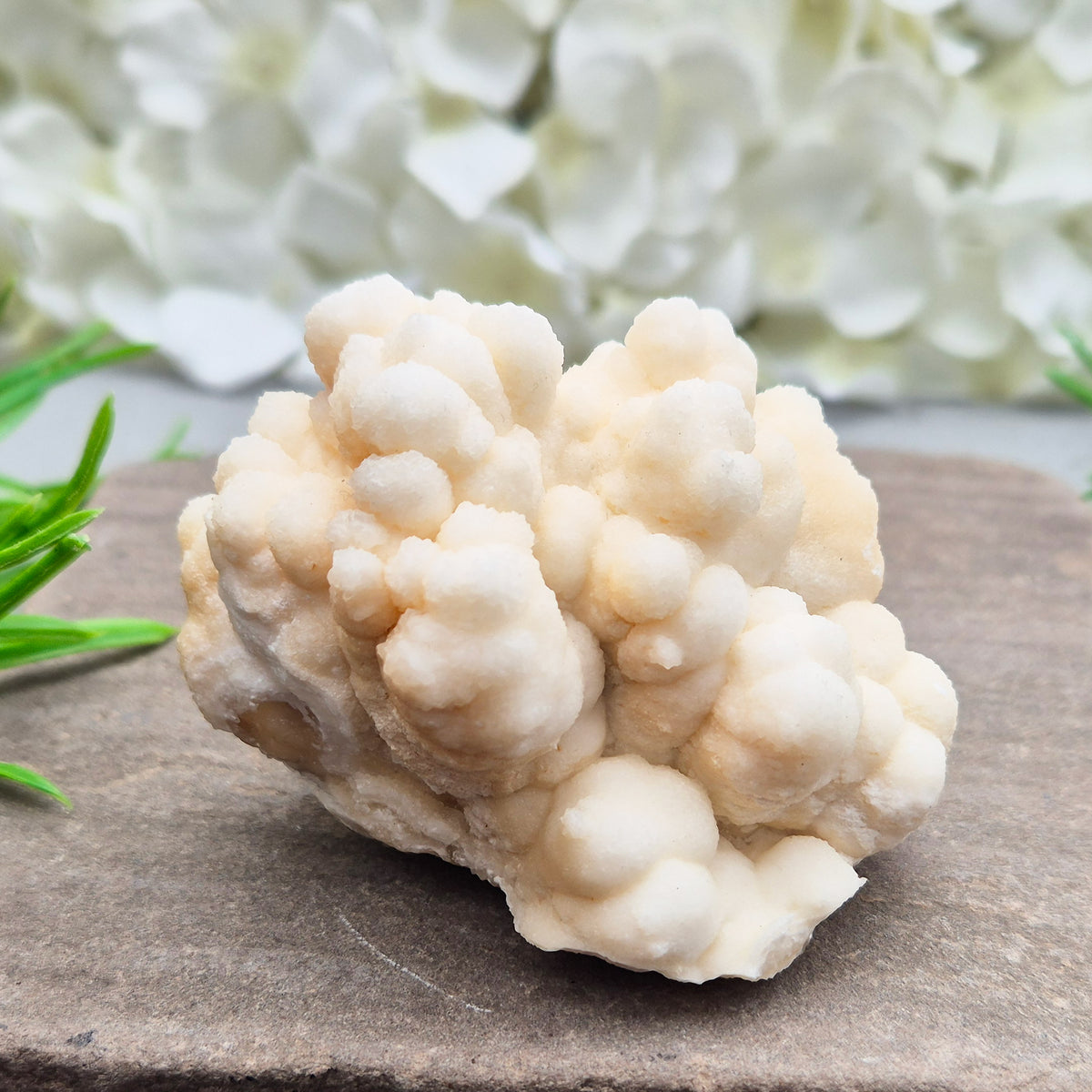 Cave Calcite (Aragonite) – A unique crystal valued for its stabilizing energy, focus, and natural beauty. A must-have for any crystal collection.