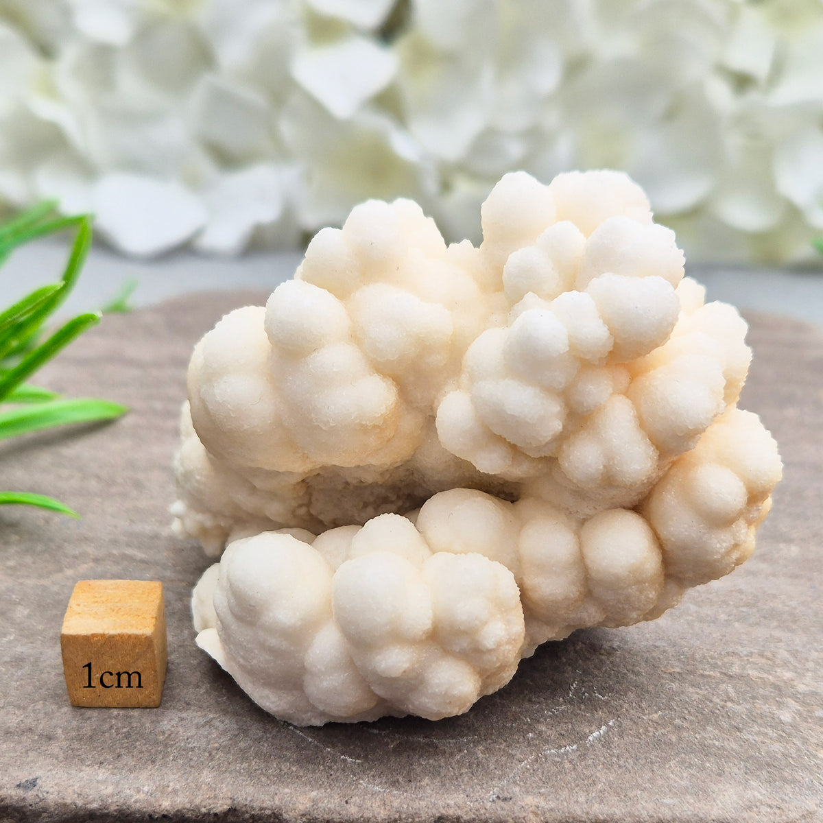 Cave Calcite (Aragonite) – A unique crystal valued for its stabilizing energy, focus, and natural beauty. A must-have for any crystal collection.