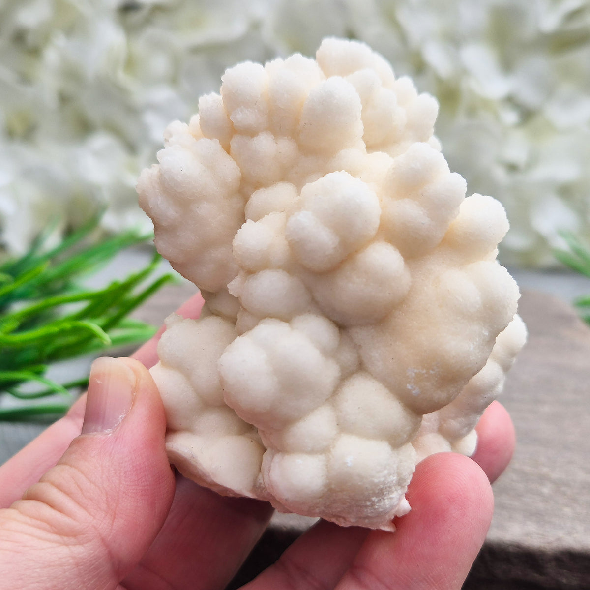 Cave Calcite (Aragonite) – A unique crystal valued for its stabilizing energy, focus, and natural beauty. A must-have for any crystal collection.