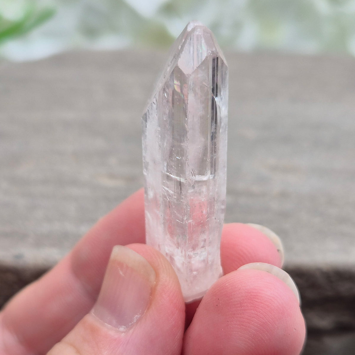 Natural Danburite crystal from Charcas, Mexico, with bright clarity and light-reflecting inclusions.