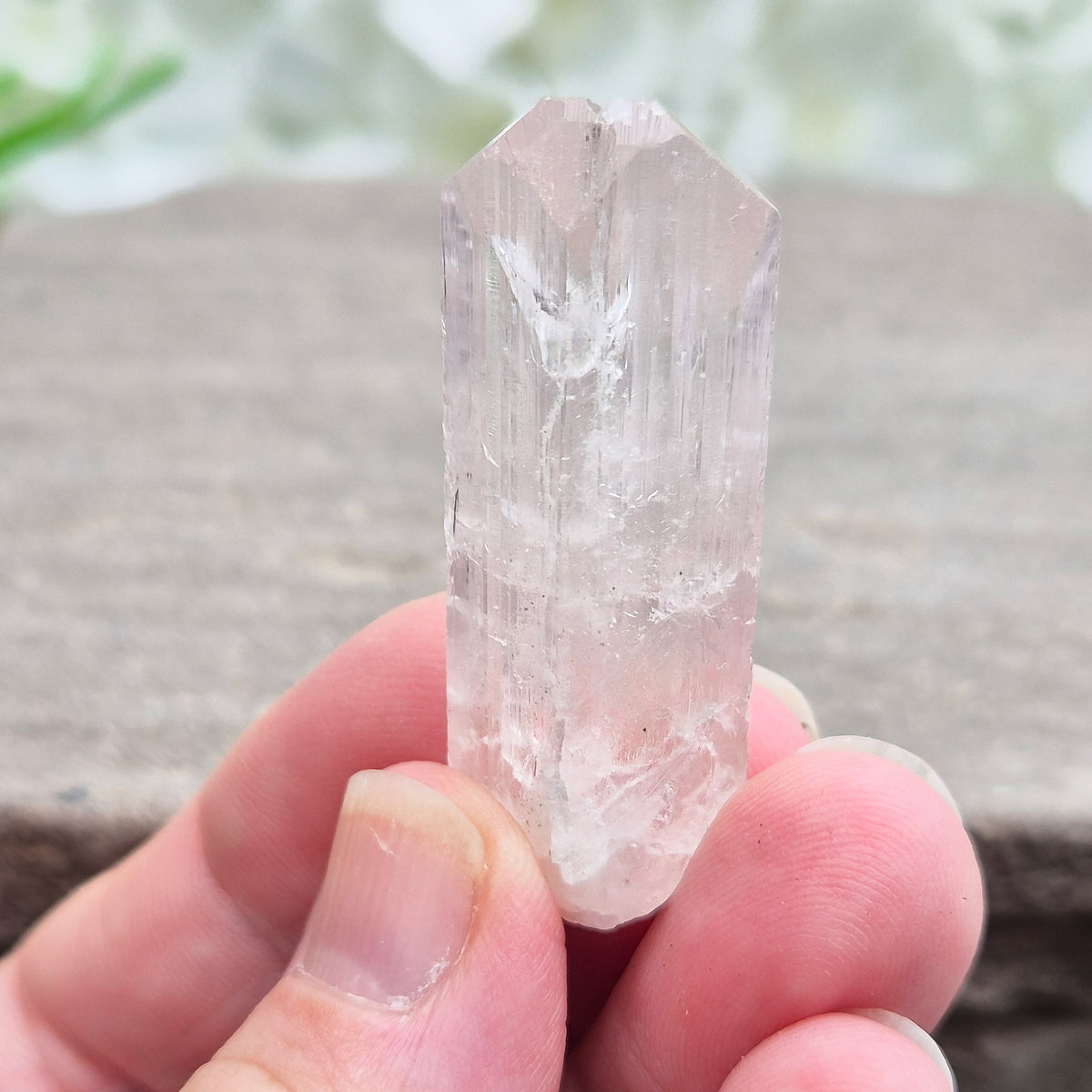 Natural Danburite crystal from Charcas, Mexico, with bright clarity and light-reflecting inclusions.