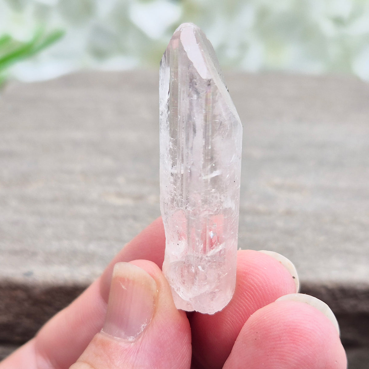 Natural Danburite crystal from Charcas, Mexico, with bright clarity and light-reflecting inclusions.
