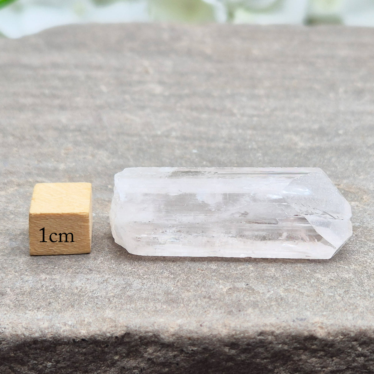 Natural Danburite crystal from Charcas, Mexico, with bright clarity and light-reflecting inclusions.