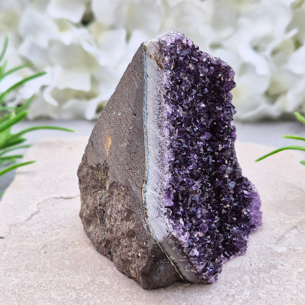 Amethyst geode with sparkling deep purple points from Brazil. A self-standing display piece offering calm, clarity, protection, and strong spiritual presence.