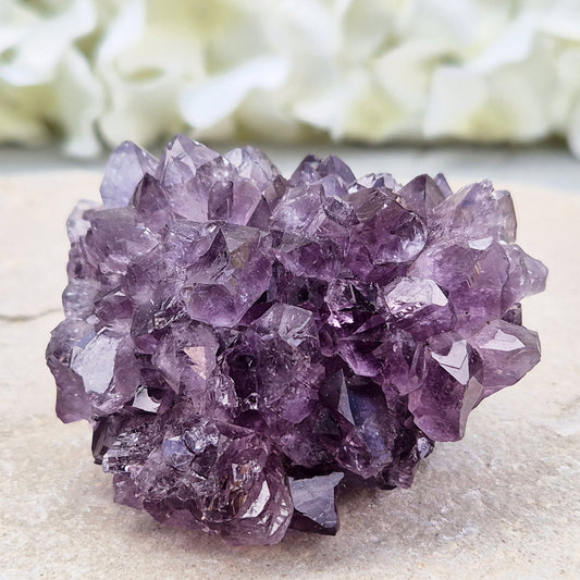 Amethyst stalactite with deep purple crystal points rising from its base. A genuine crystal, with the kind of flower formation collectors specifically look for.