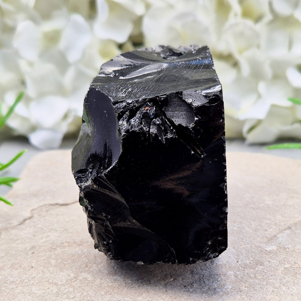 Natural black obsidian freeform from Mexico, known for its grounding presence and protective energy. A striking volcanic glass piece.