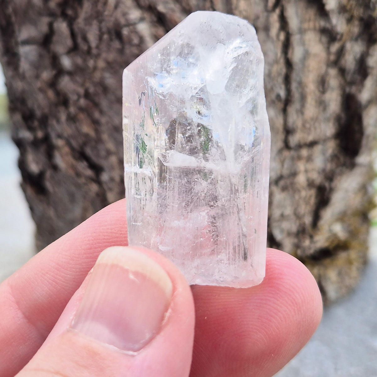 Natural Danburite crystal from Charcas, Mexico, with bright clarity and light-reflecting inclusions.