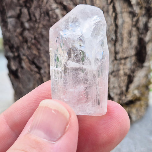 Natural Danburite crystal from Charcas, Mexico, with bright clarity and light-reflecting inclusions.