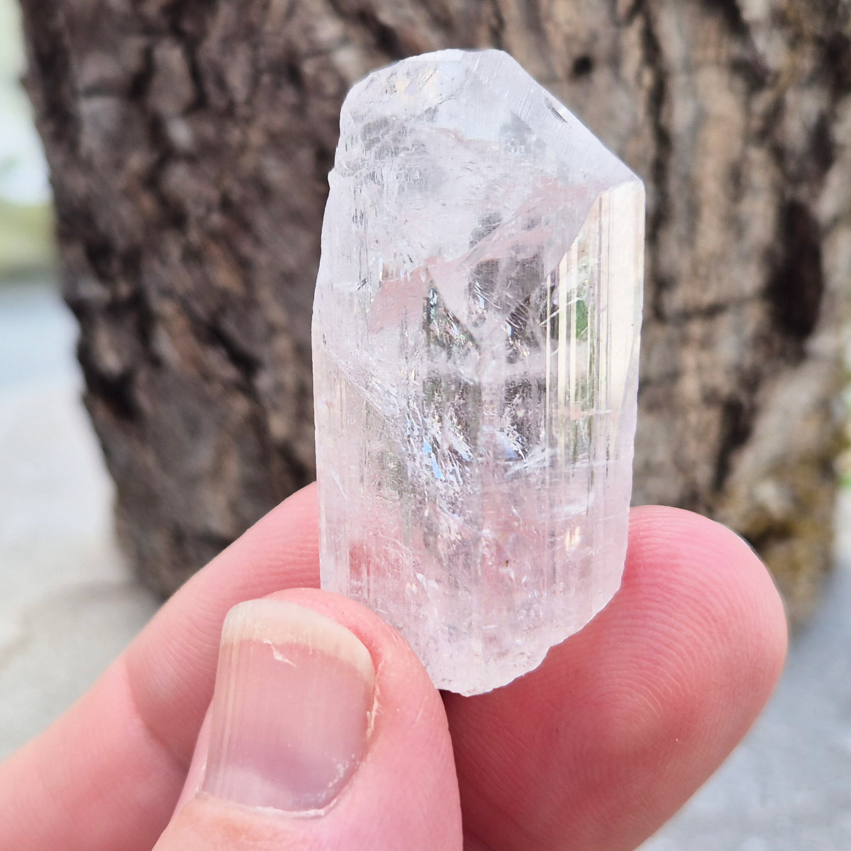 Natural Danburite crystal from Charcas, Mexico, with bright clarity and light-reflecting inclusions.