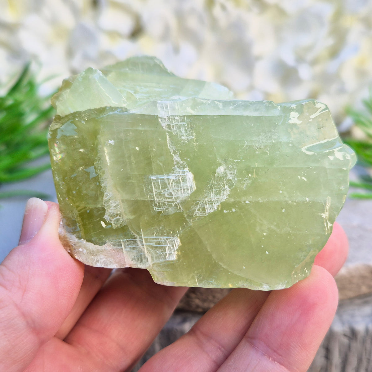 Soothing Green Calcite chunk that encourages release, emotional balance and gentle renewal. Ideal for heart-centred energy work and fresh starts. 
