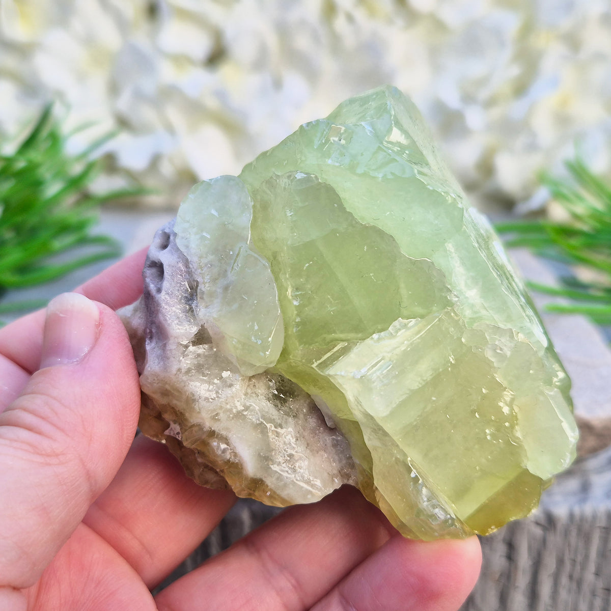 Soothing Green Calcite chunk that encourages release, emotional balance and gentle renewal. Ideal for heart-centred energy work and fresh starts. 