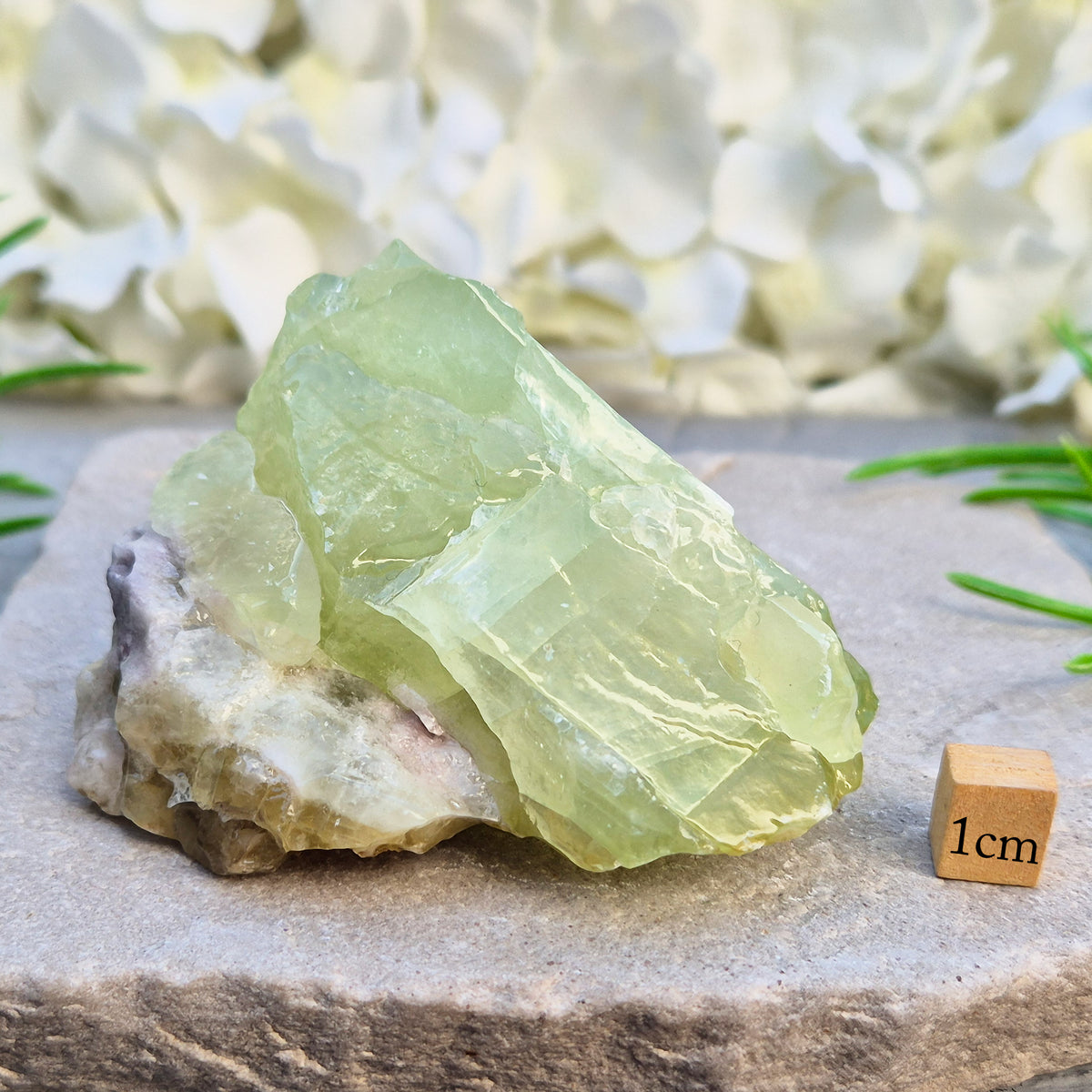 Soothing Green Calcite chunk that encourages release, emotional balance and gentle renewal. Ideal for heart-centred energy work and fresh starts. 