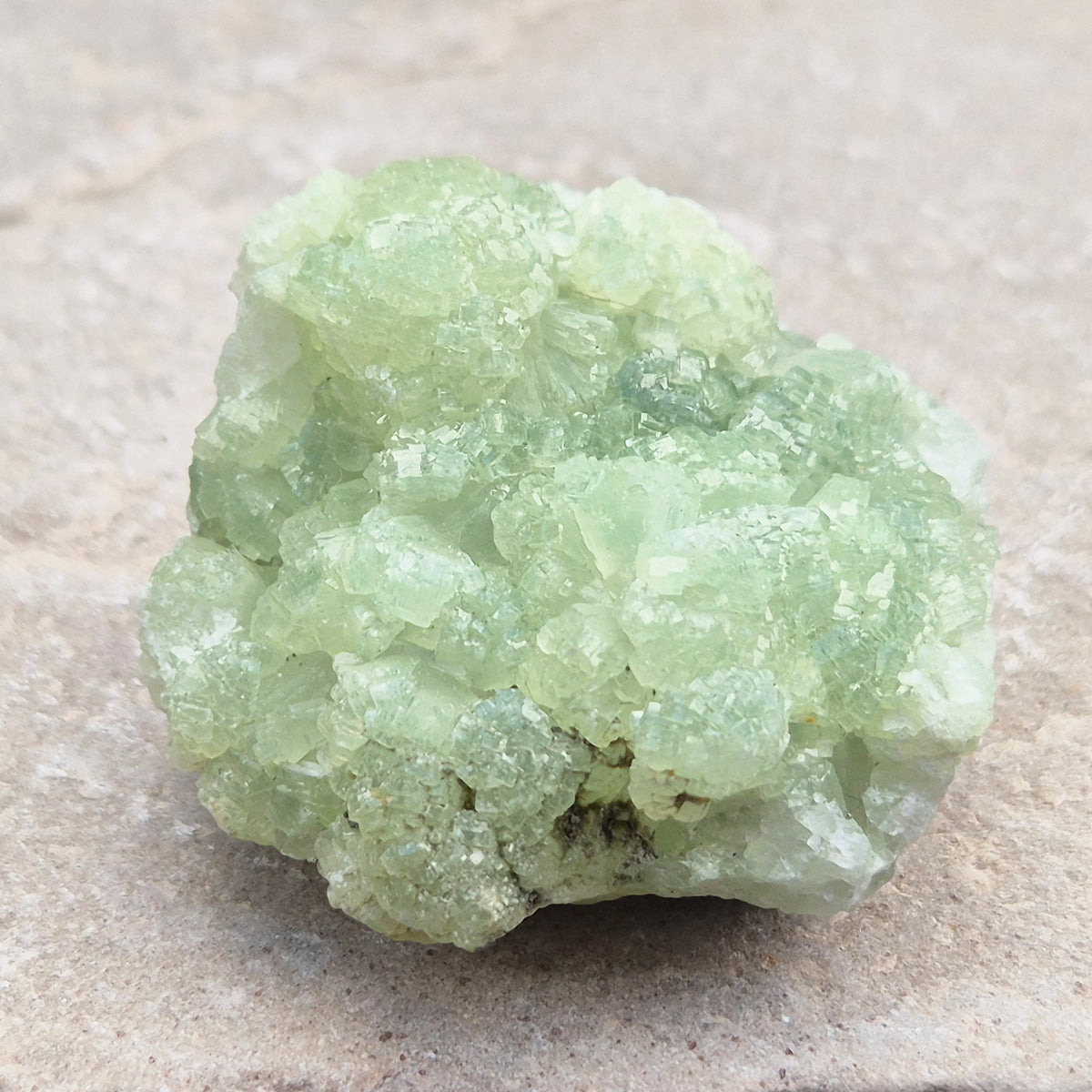 Natural Prehnite cluster with soft green tones and calming energy. A soothing crystal for emotional balance, rest, and peaceful spaces.