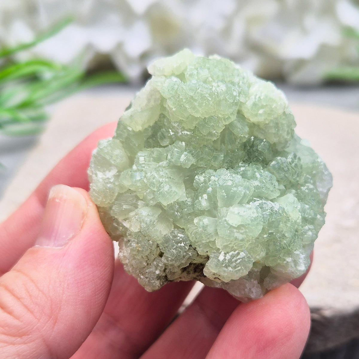 Natural Prehnite cluster with soft green tones and calming energy. A soothing crystal for emotional balance, rest, and peaceful spaces.