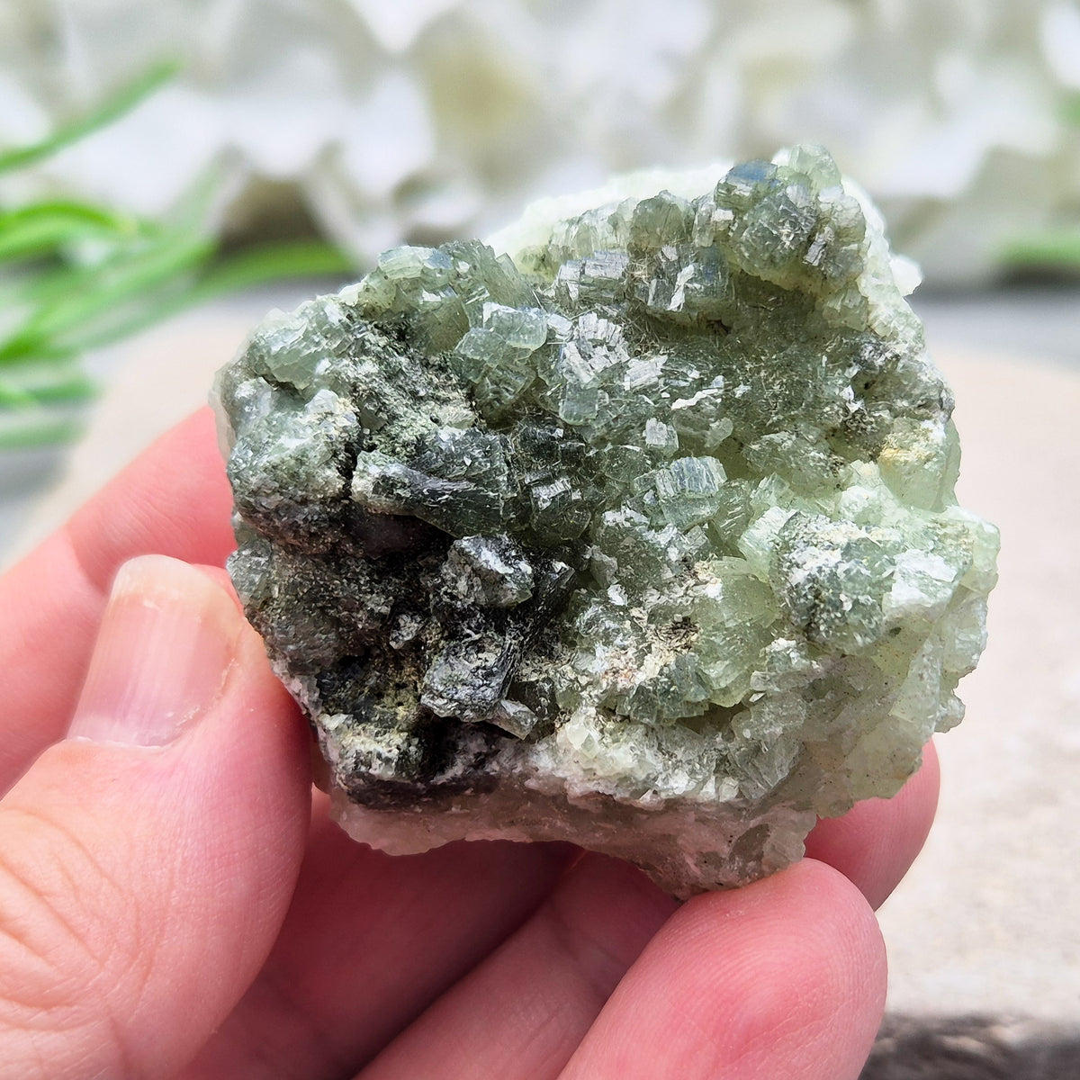 Natural Prehnite cluster with soft green tones and calming energy. A soothing crystal for emotional balance, rest, and peaceful spaces.