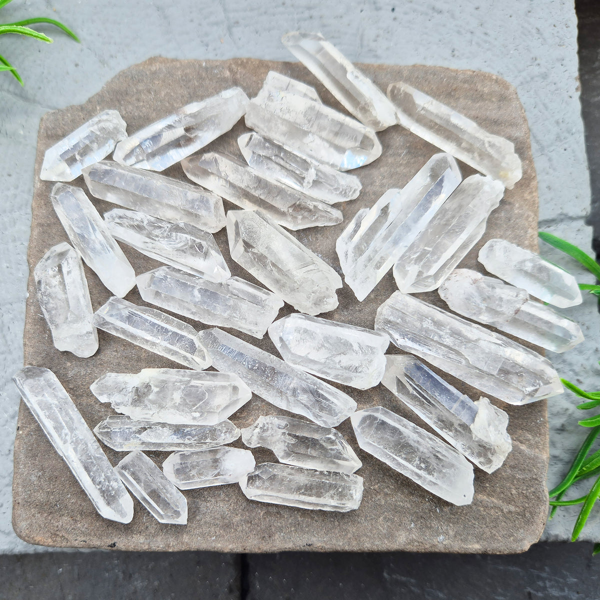 Shop natural mini clear quartz points, 100g of assorted sizes. Known for clarity, focus and amplifying intention — perfect starter crystals or thoughtful gifts.