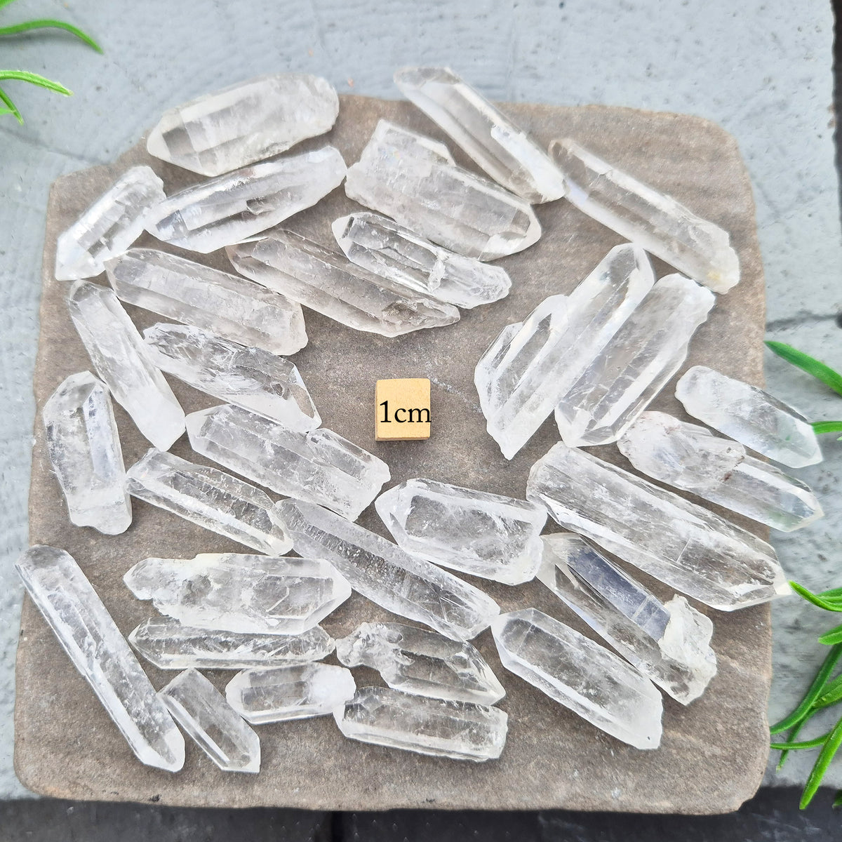 Shop natural mini clear quartz points, 100g of assorted sizes. Known for clarity, focus and amplifying intention — perfect starter crystals or thoughtful gifts.