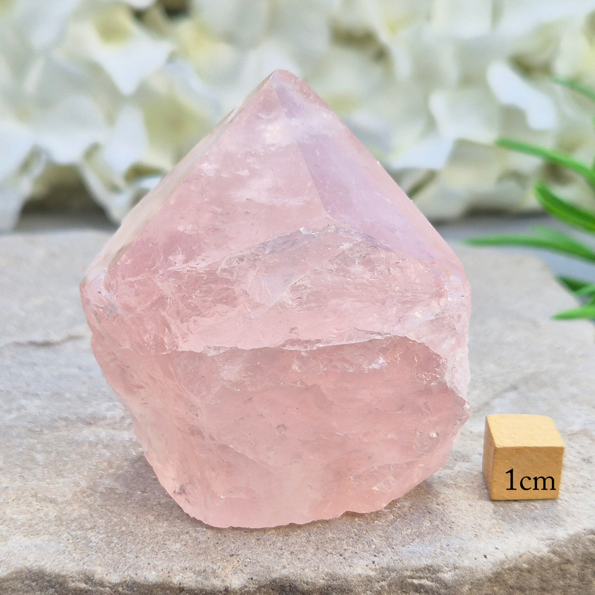 Pink Rose Quartz standing point from Brazil. Promotes self-love, calm, and emotional healing. Perfect for display, meditation, or heart chakra work.