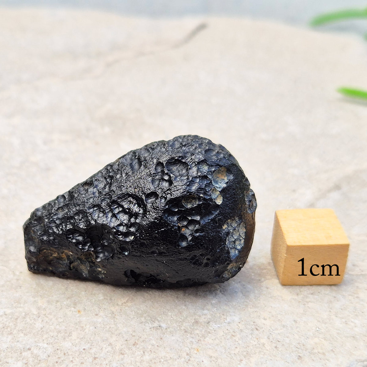Natural Black Tektite to strengthen grounding, release blockages, and support personal growth. Ideal for energy work and transformation.