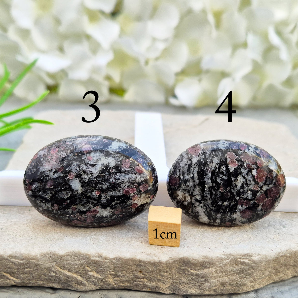 red Garnet in Black Tourmaline palm stone — naturally formed, said to bring grounding, courage and inner strength.