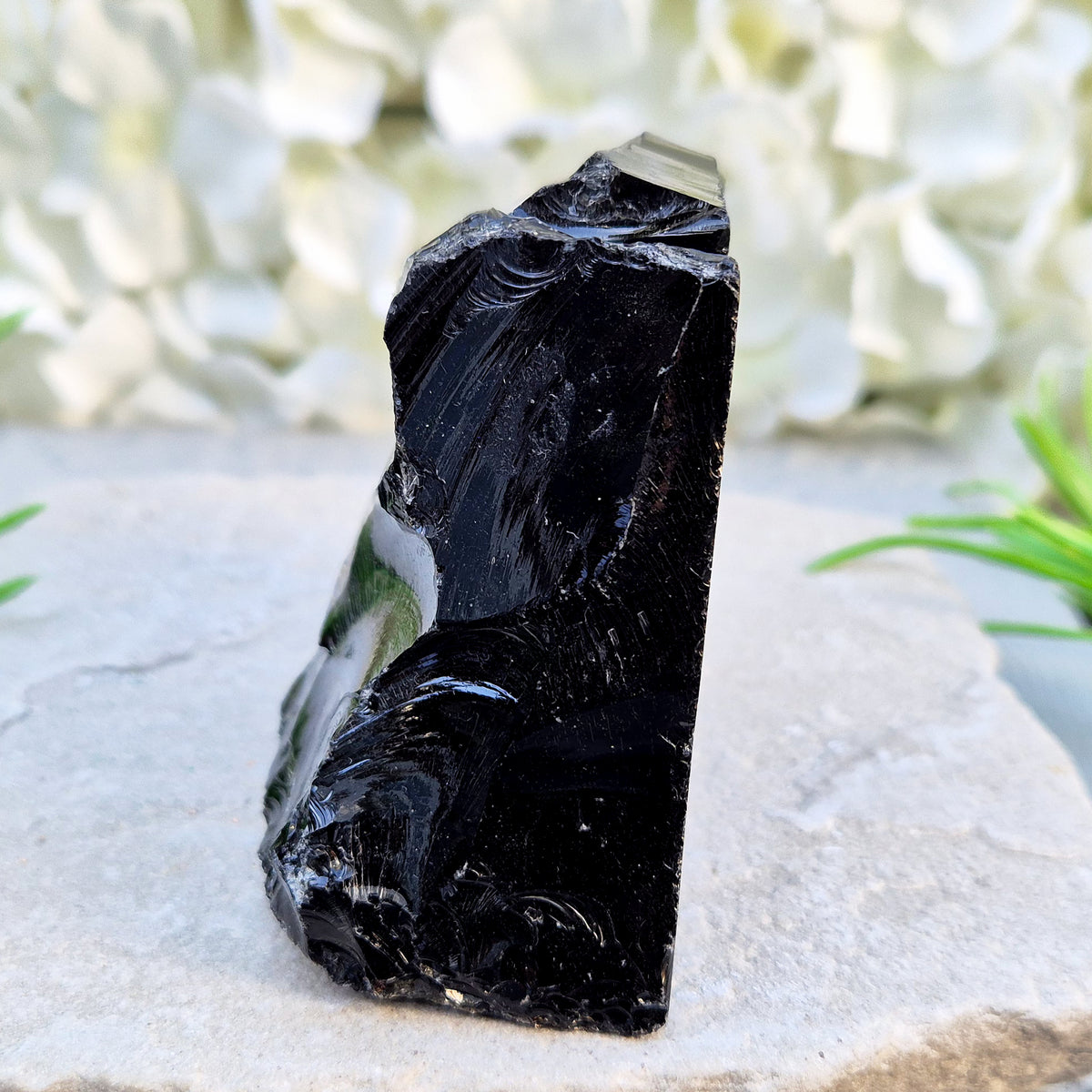 Natural black obsidian freeform from Mexico, known for its grounding presence and protective energy. A striking volcanic glass piece.