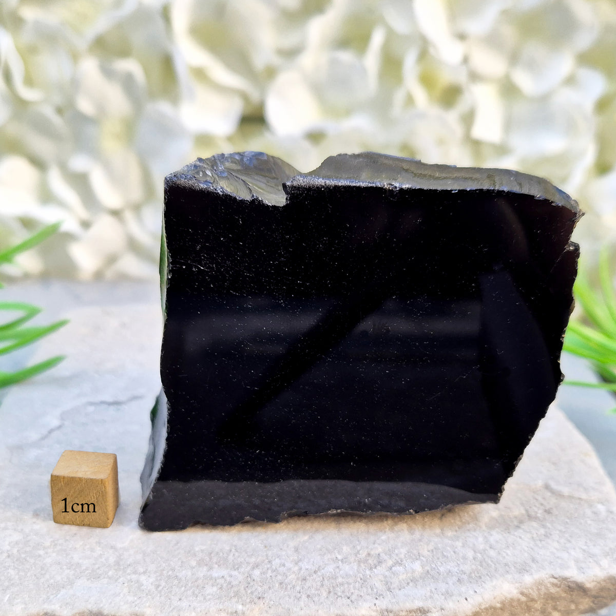Natural black obsidian freeform from Mexico, known for its grounding presence and protective energy. A striking volcanic glass piece.