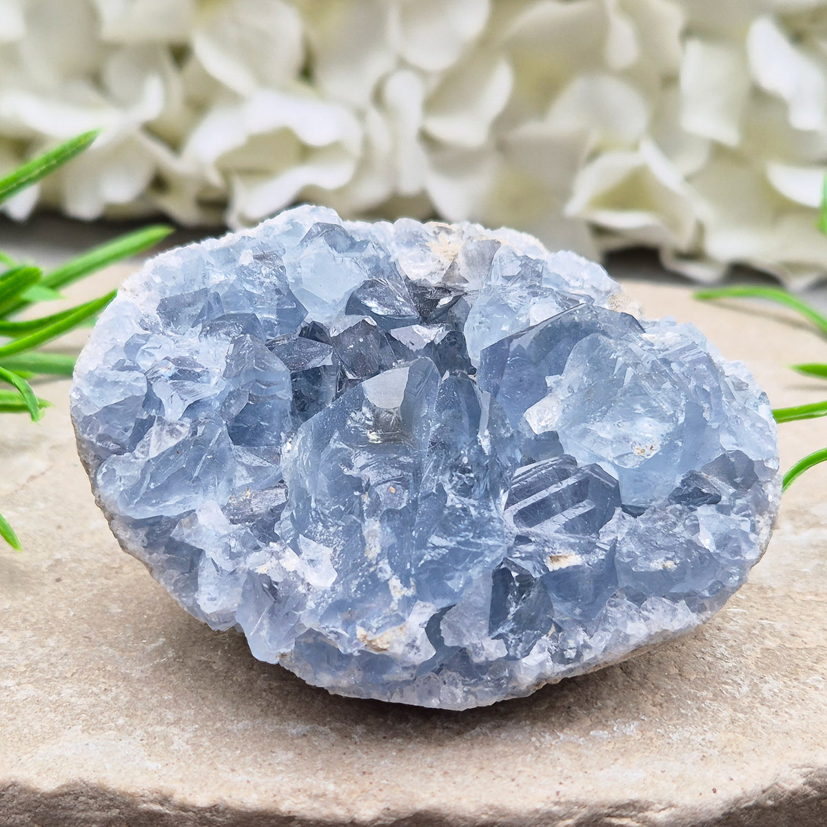 Celestite Cluster with sparkling blue crystals. A beautiful display piece loved for its gentle energy, peaceful presence, and natural beauty.