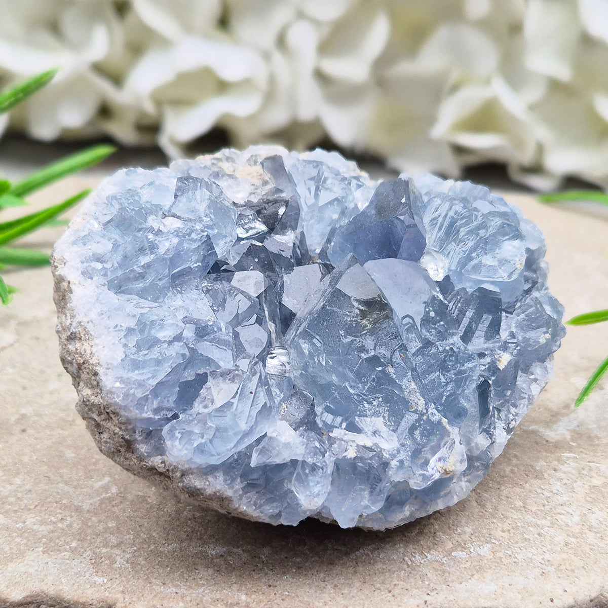 Celestite Cluster with sparkling blue crystals. A beautiful display piece loved for its gentle energy, peaceful presence, and natural beauty.