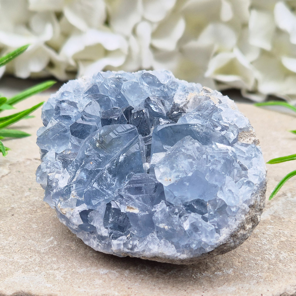Celestite Cluster with sparkling blue crystals. A beautiful display piece loved for its gentle energy, peaceful presence, and natural beauty.
