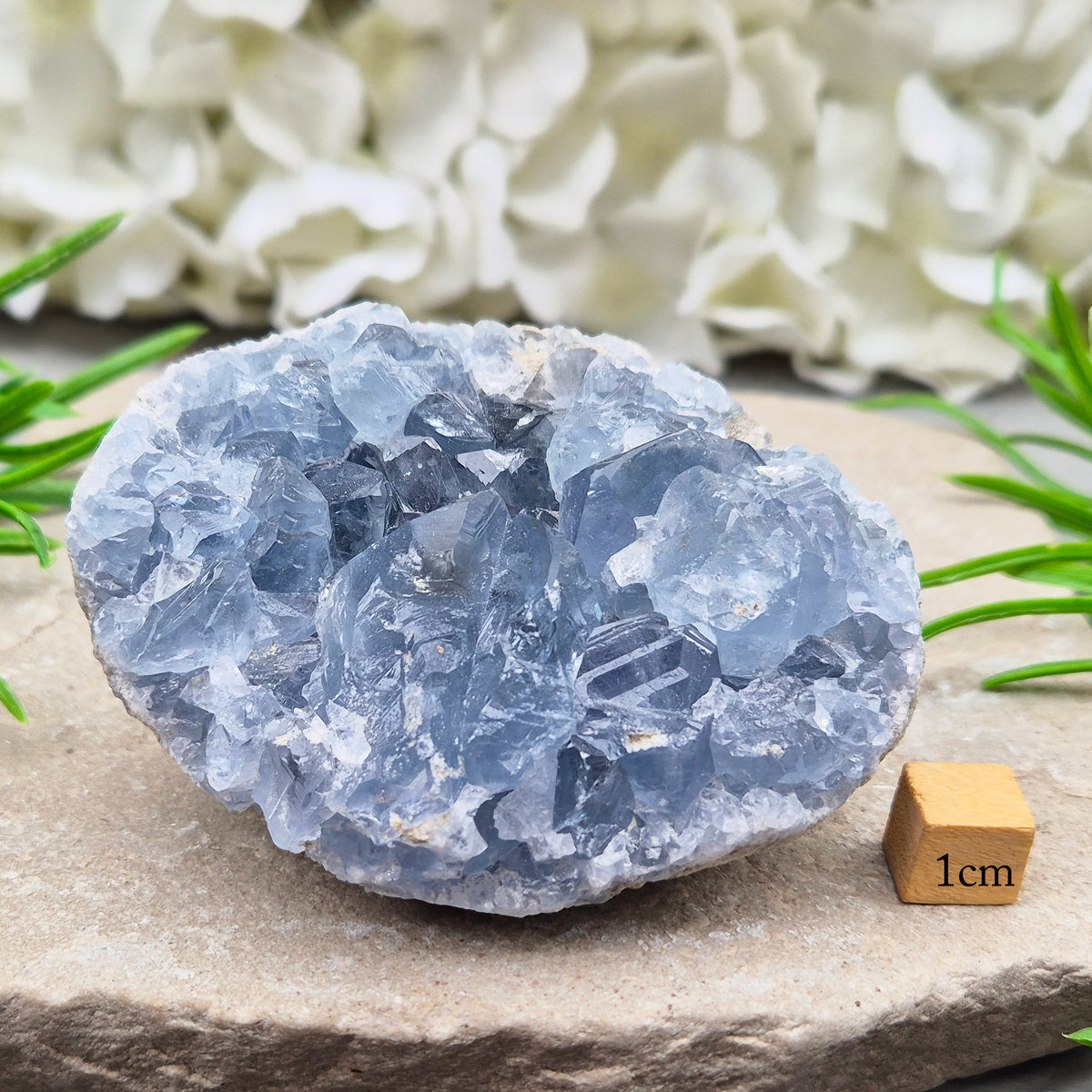 Celestite Cluster with sparkling blue crystals. A beautiful display piece loved for its gentle energy, peaceful presence, and natural beauty.