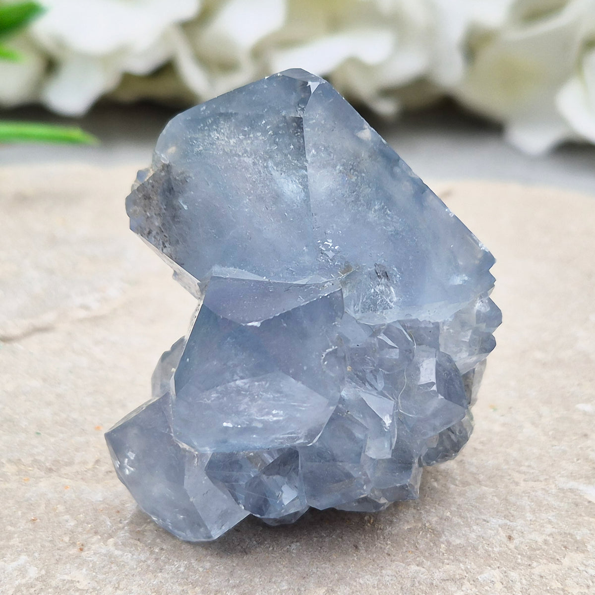 Natural Celestite Crystal Cluster featuring delicate blue crystals. Perfect for crystal collections, home décor, gifting, and spiritual spaces.