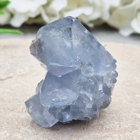 Natural Celestite Crystal Cluster featuring delicate blue crystals. Perfect for crystal collections, home décor, gifting, and spiritual spaces.