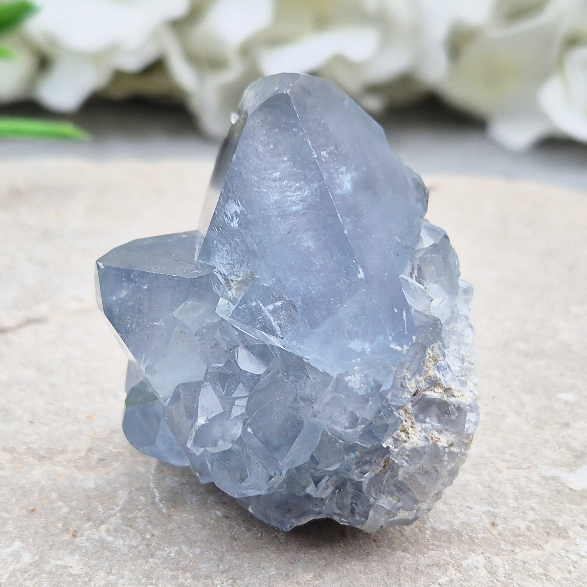 Natural Celestite Crystal Cluster featuring delicate blue crystals. Perfect for crystal collections, home décor, gifting, and spiritual spaces.