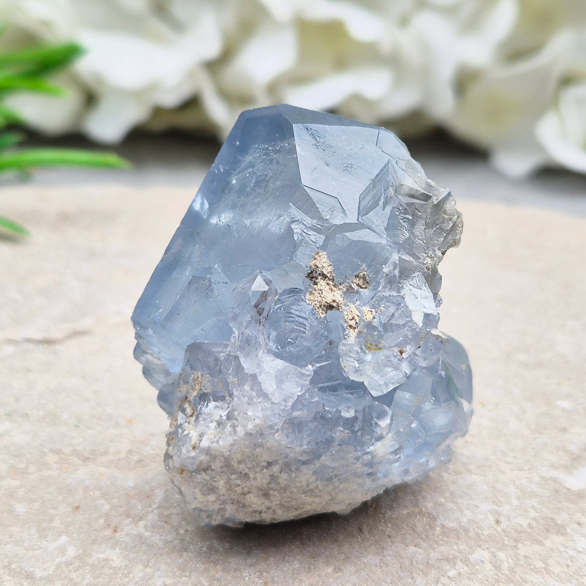 Natural Celestite Crystal Cluster featuring delicate blue crystals. Perfect for crystal collections, home décor, gifting, and spiritual spaces.
