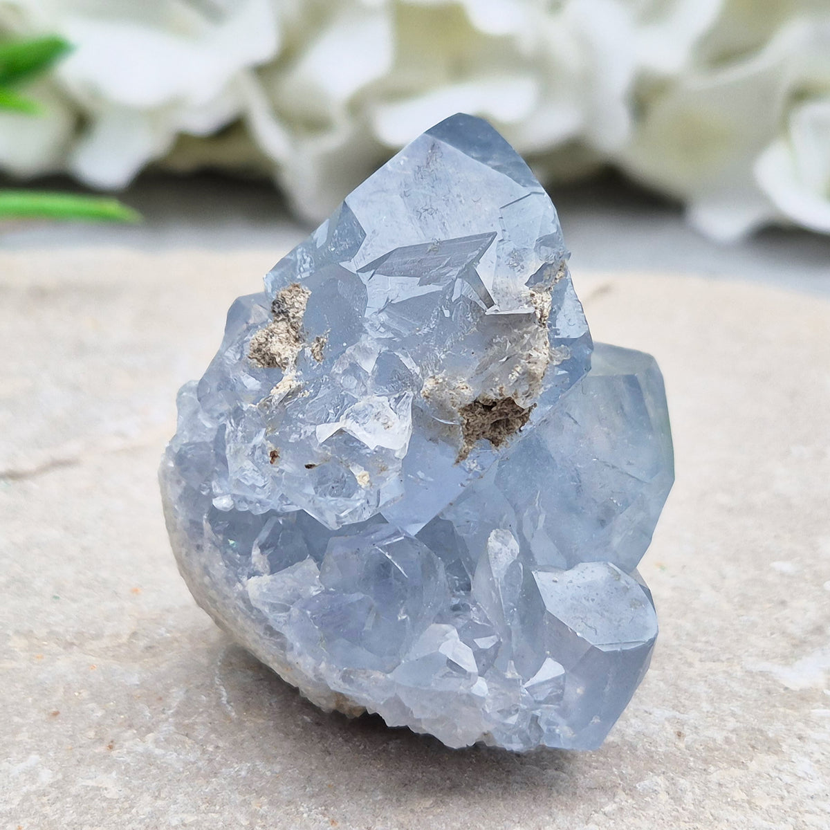 Natural Celestite Crystal Cluster featuring delicate blue crystals. Perfect for crystal collections, home décor, gifting, and spiritual spaces.