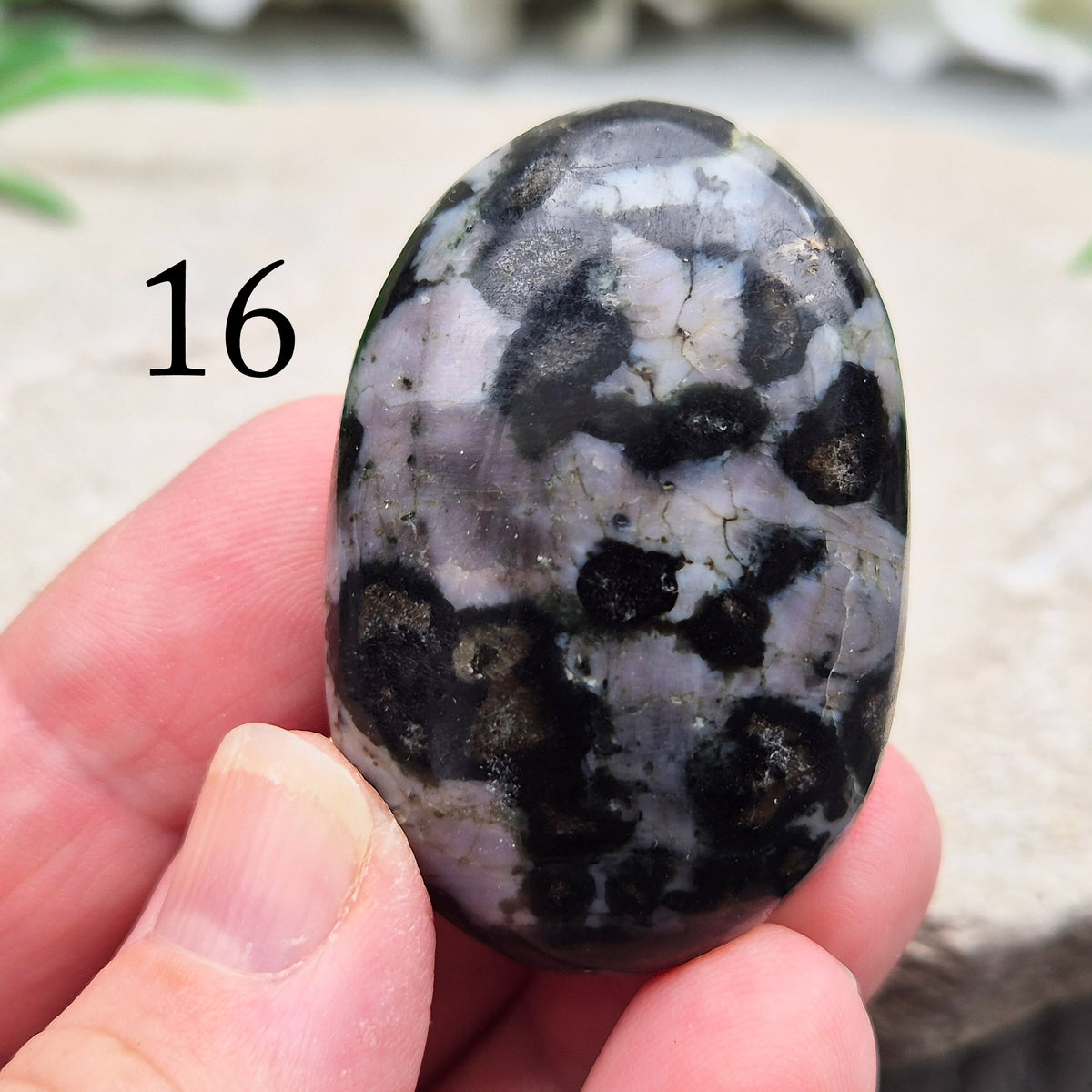 Indigo Gabbro palm stone for grounding, balancing energy, and supporting emotional awareness. Smooth, polished, perfect for meditation or holding.