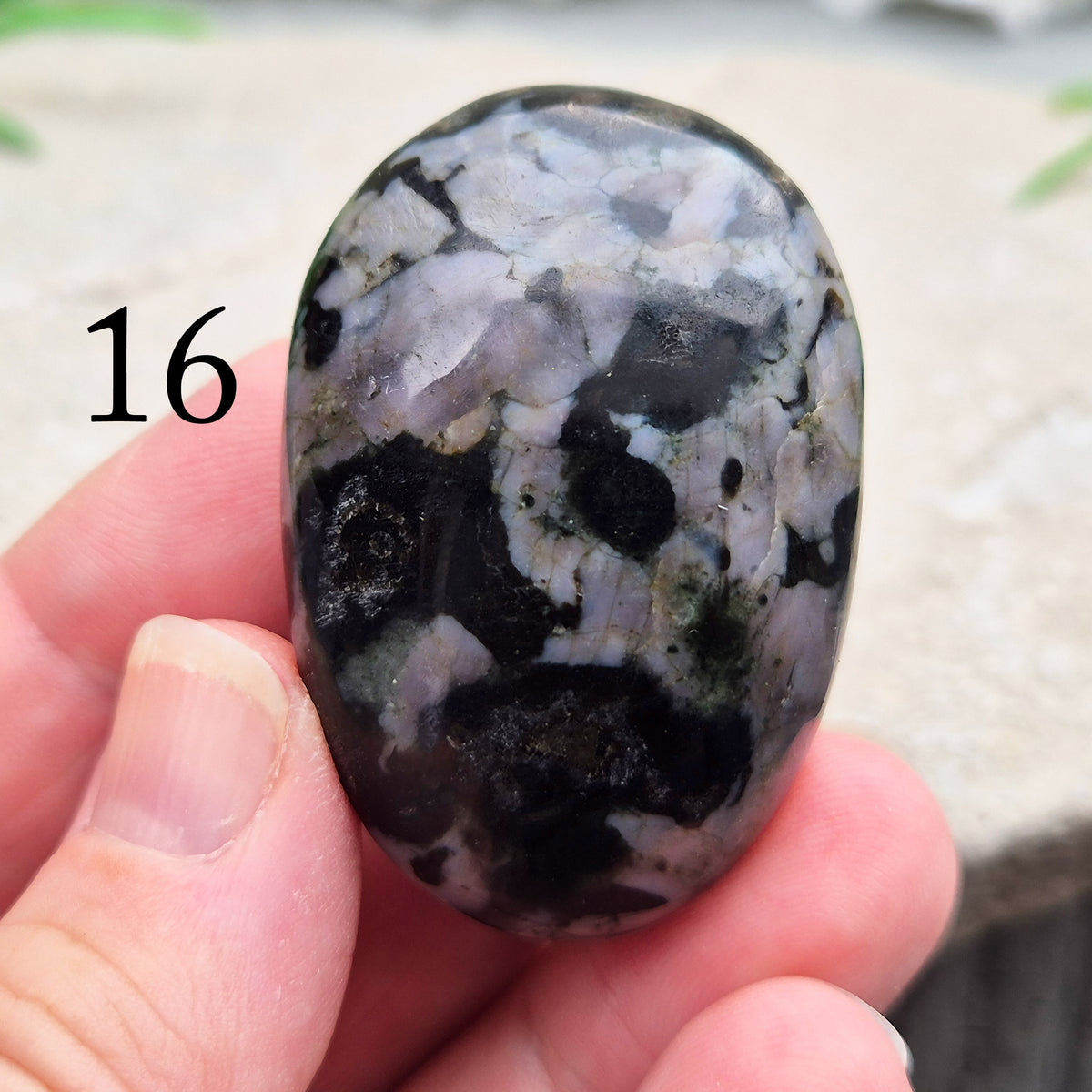 Indigo Gabbro palm stone for grounding, balancing energy, and supporting emotional awareness. Smooth, polished, perfect for meditation or holding.
