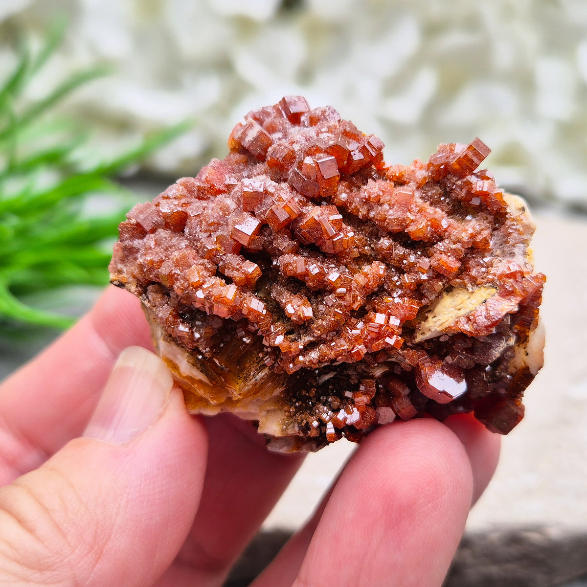 Sparkling Vanadinite cluster from Morocco. A grounding crystal for focus, vitality, and steady energy. Ideal for meditation, balance, & crystal work. 